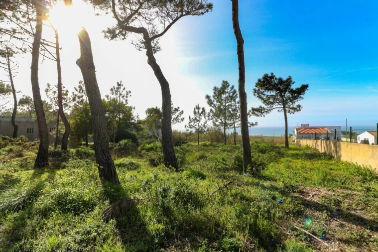Terreno para Venda em São João das Lampas e Terrugem Foto 4