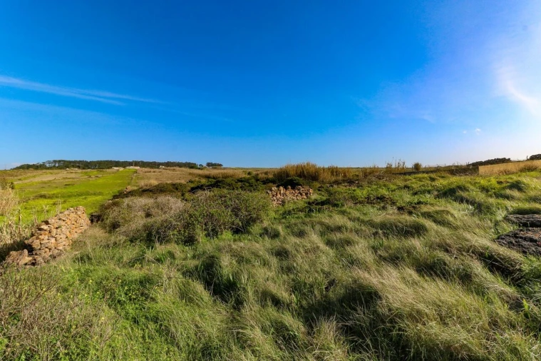 Terreno para Venda em São João das Lampas e Terrugem Foto 6