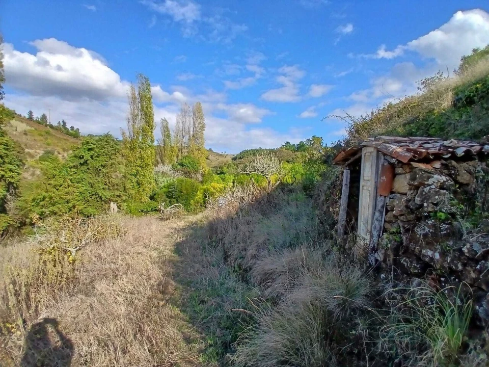 Terreno para Venda em Santo Isidoro Foto 9