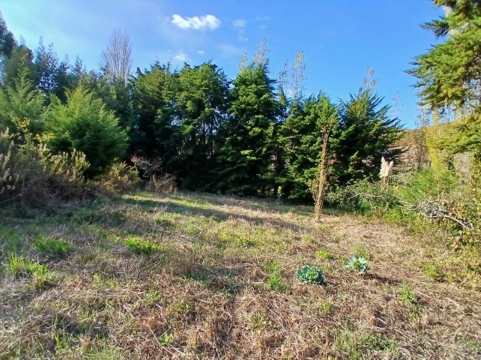 Terreno para Venda em Santo Isidoro Foto 11