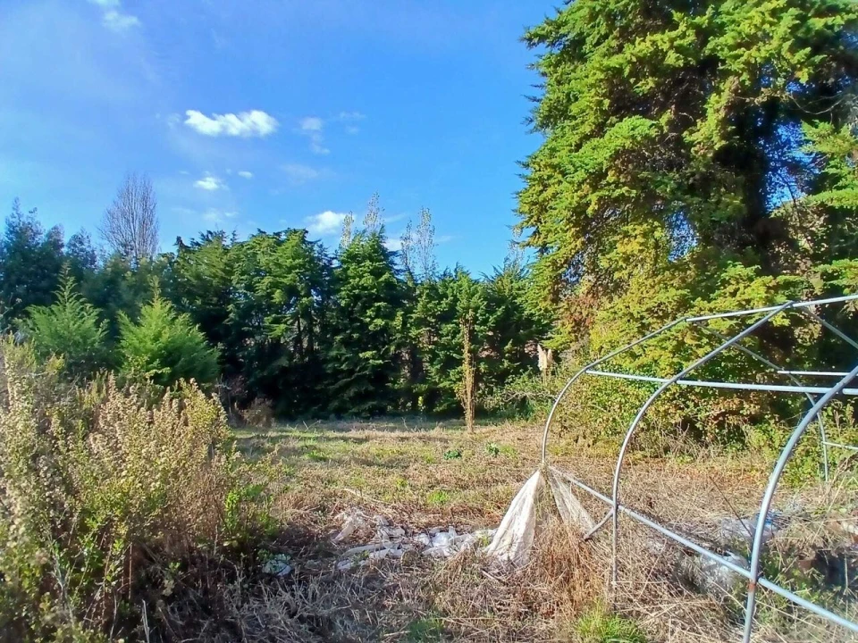 Terreno para Venda em Santo Isidoro Foto 12