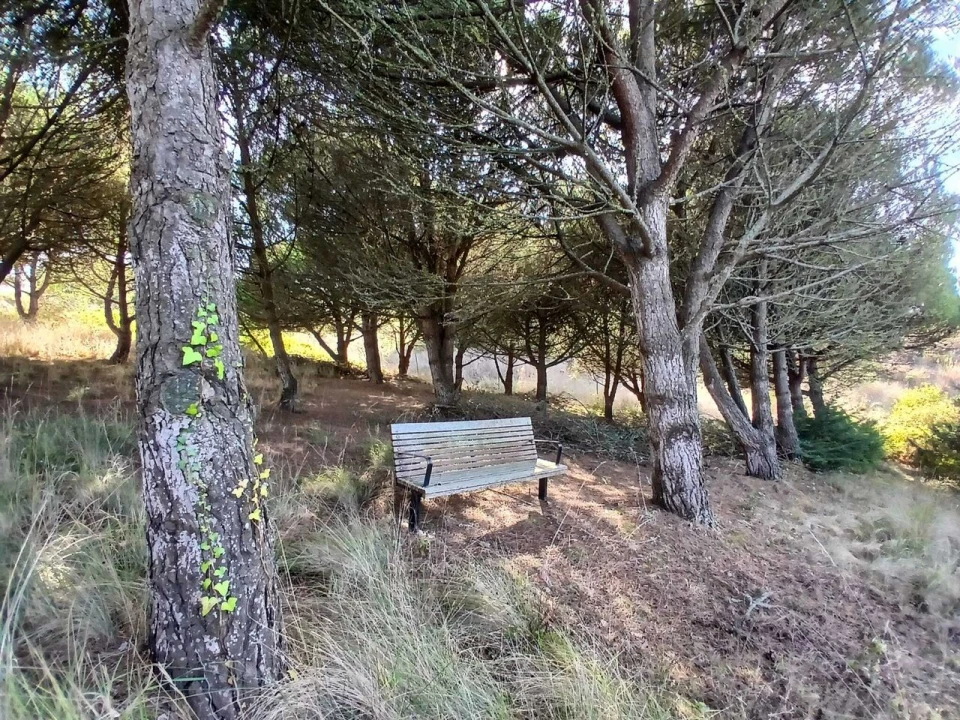 Terreno para Venda em Santo Isidoro Foto 8