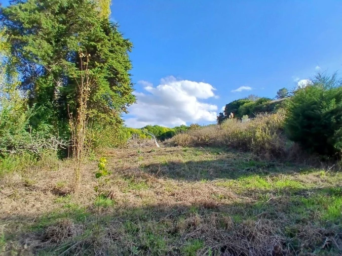 Terreno para Venda em Santo Isidoro Foto 10