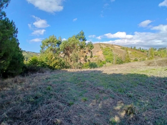 Terreno para Venda em Santo Isidoro Foto 13