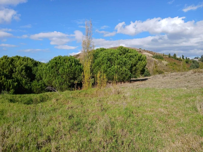 Terreno para Venda em Santo Isidoro Foto 15