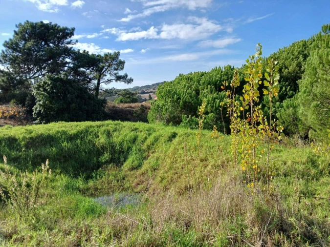 Terreno para Venda em Santo Isidoro Foto 6