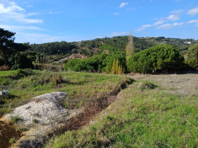 Terreno para Venda em Santo Isidoro Foto 16