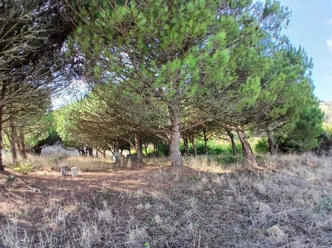 Terreno para Venda em Santo Isidoro Foto 2