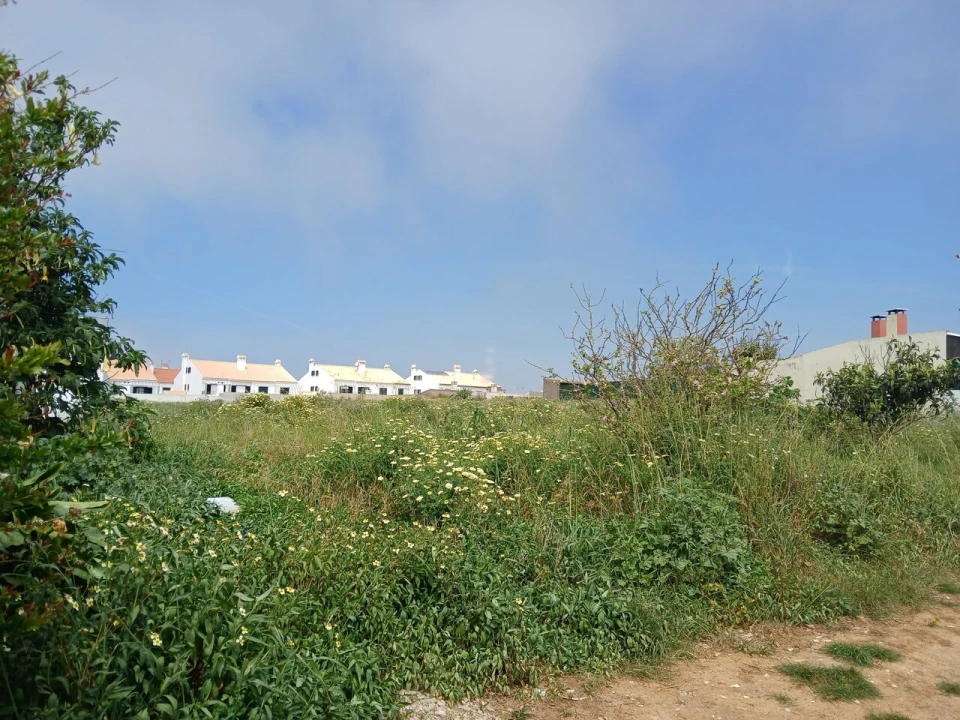 Terreno para Venda em Ericeira Foto 6