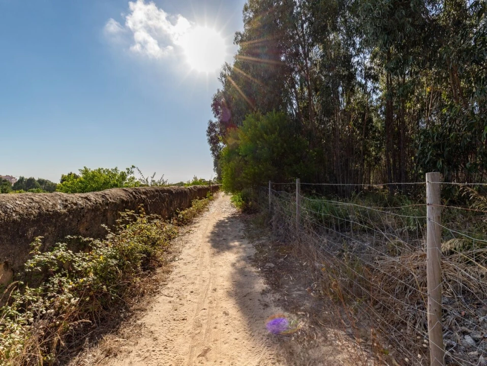 Terreno para Venda em Ericeira Foto 20