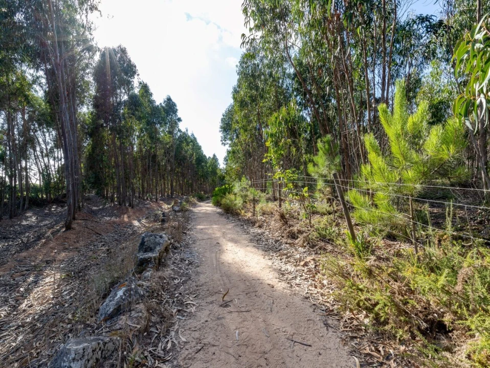 Terreno para Venda em Ericeira Foto 23