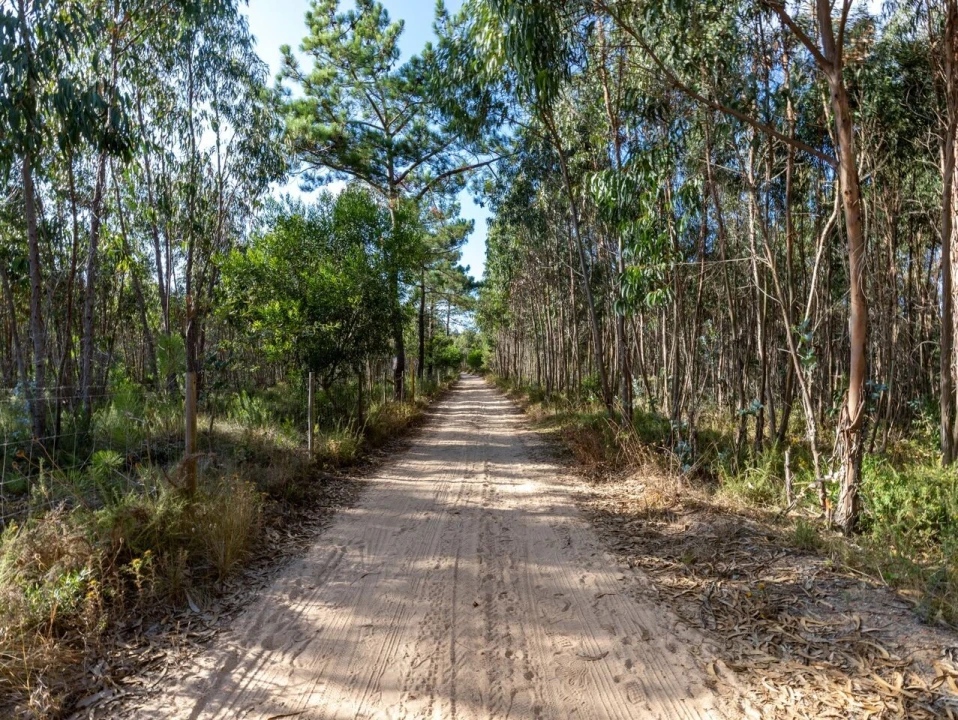 Terreno para Venda em Ericeira Foto 25