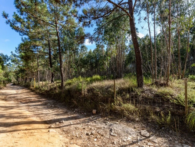 Terreno para Venda em Ericeira Foto 10