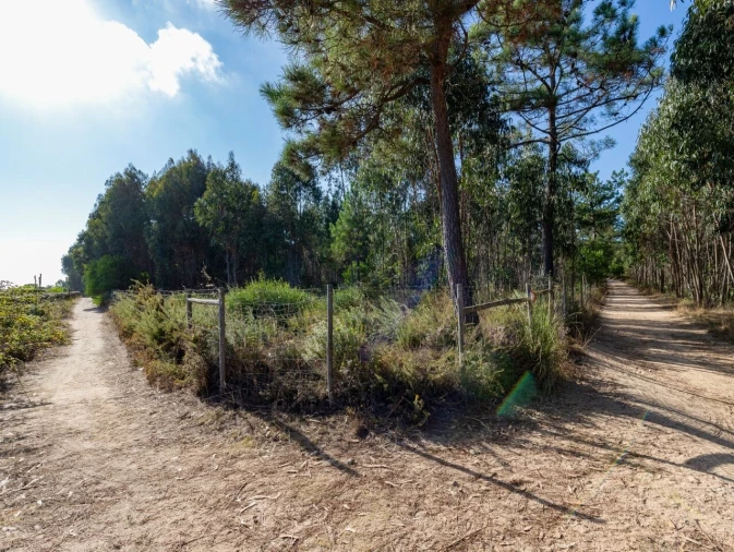 Terreno para Venda em Ericeira Foto 18