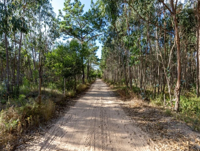 Terreno para Venda em Ericeira Foto 25
