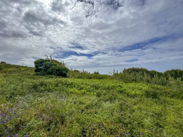 Terreno para Venda em Ericeira