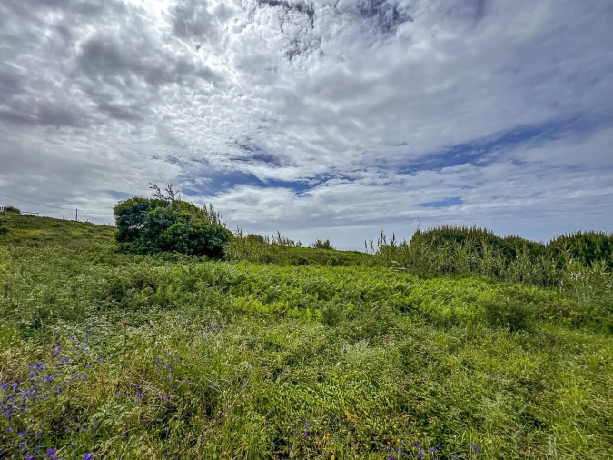 Terreno para Venda em Ericeira Foto 7
