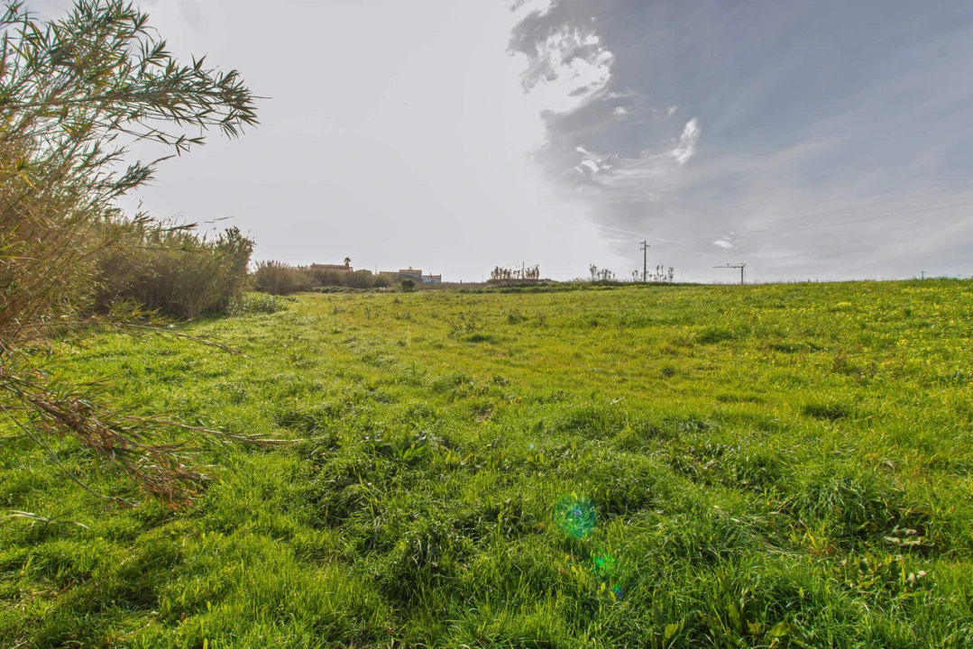 Terreno para Venda em Encarnação Foto 7