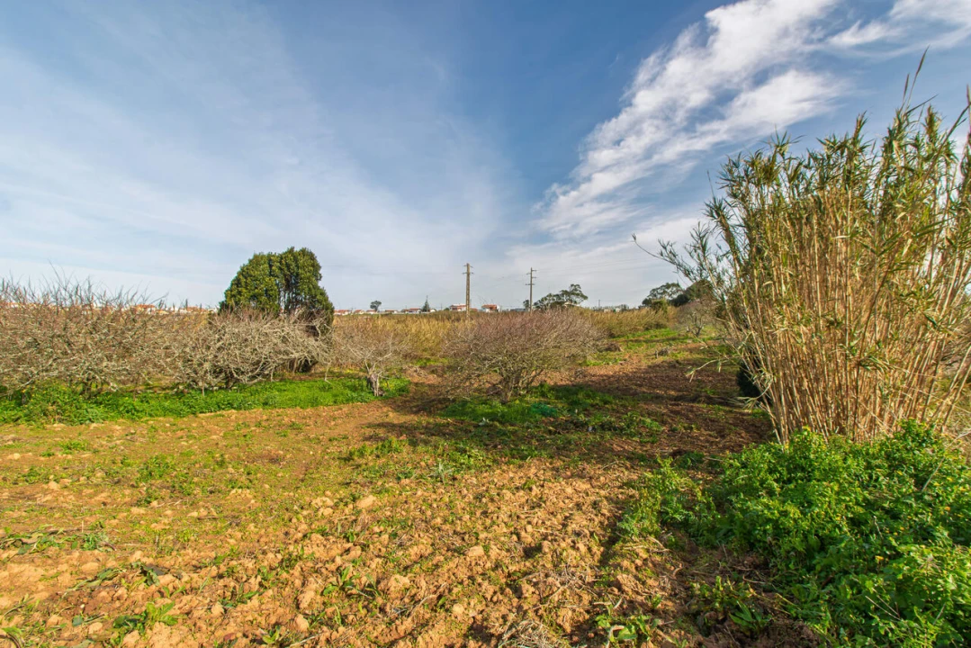 Terreno para Venda em Encarnação Foto 11