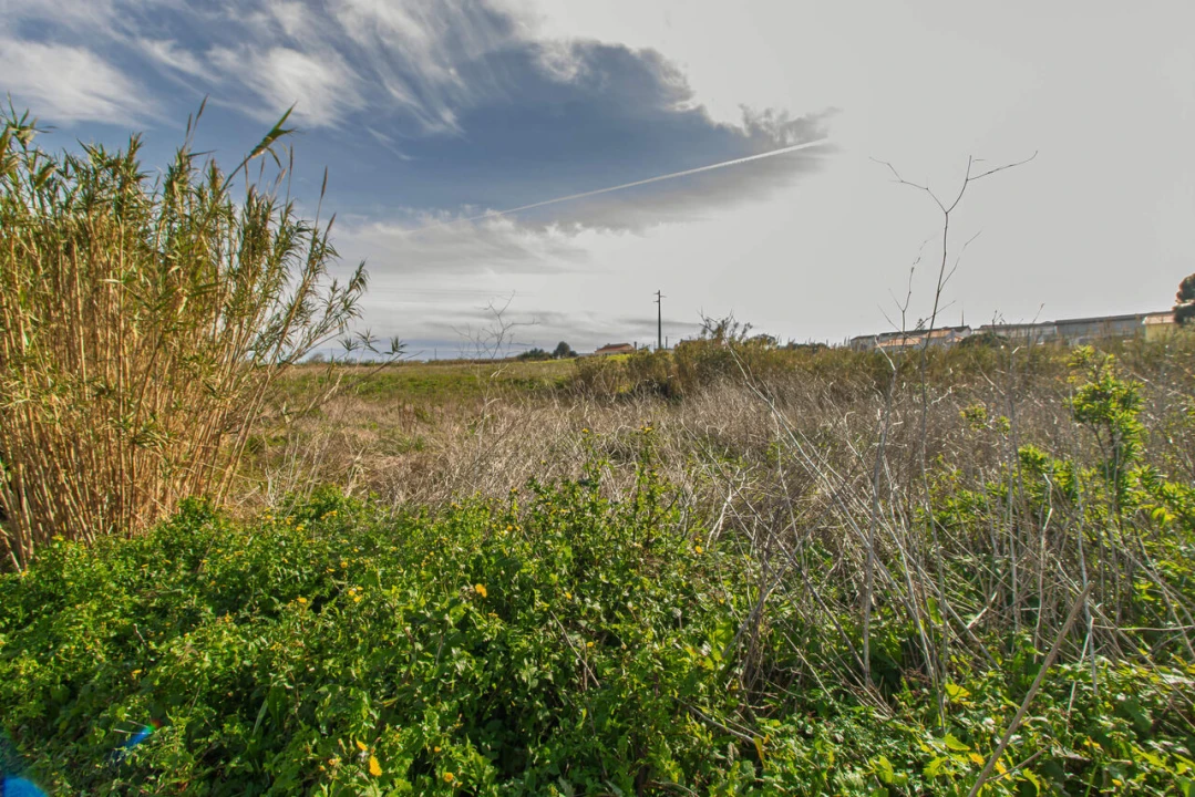 Terreno para Venda em Encarnação Foto 13