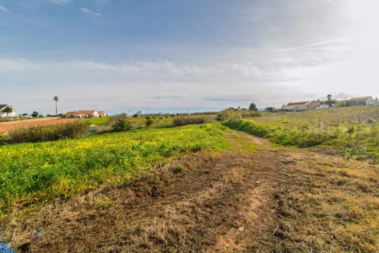 Terreno para Venda em Encarnação Foto 3
