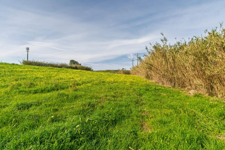 Terreno para Venda em Encarnação Foto 6