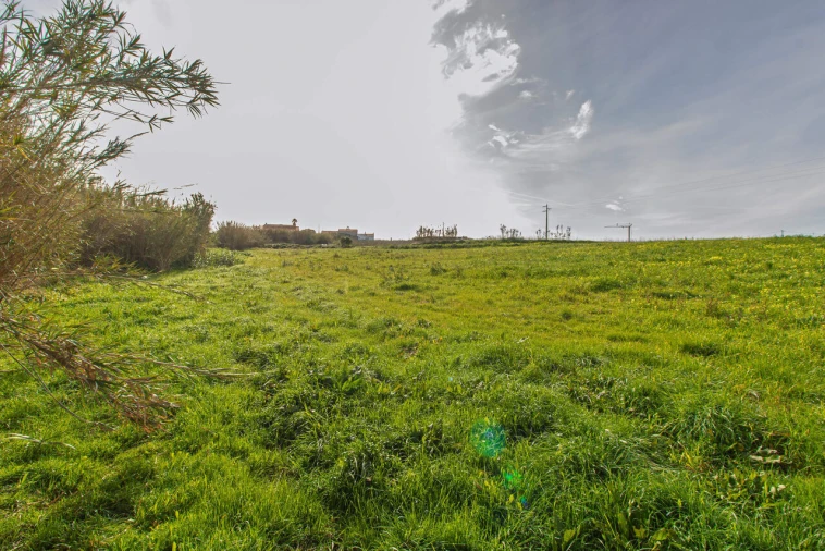 Terreno para Venda em Encarnação Foto 7
