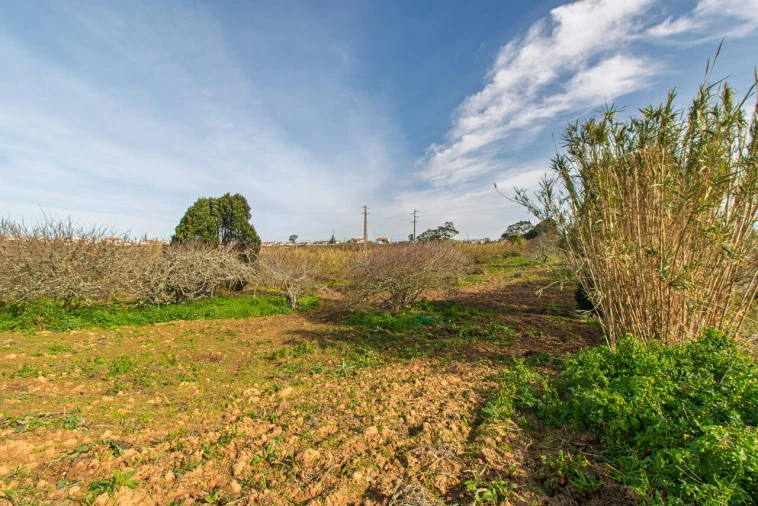 Terreno para Venda em Encarnação Foto 11