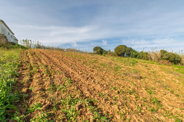 Terreno para Venda em Encarnação Foto 12
