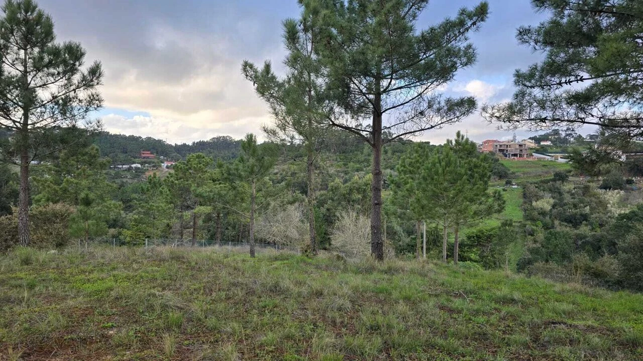 Terreno para Venda em Mafra Foto 1