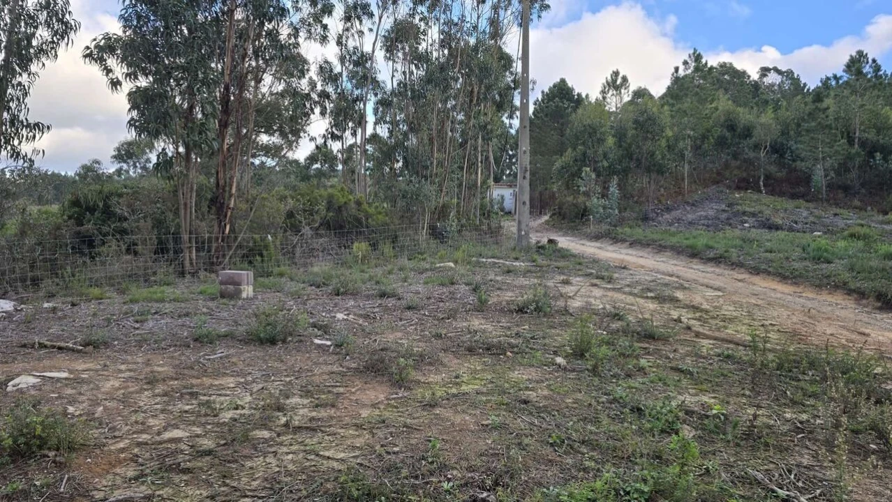 Terreno para Venda em Mafra Foto 2