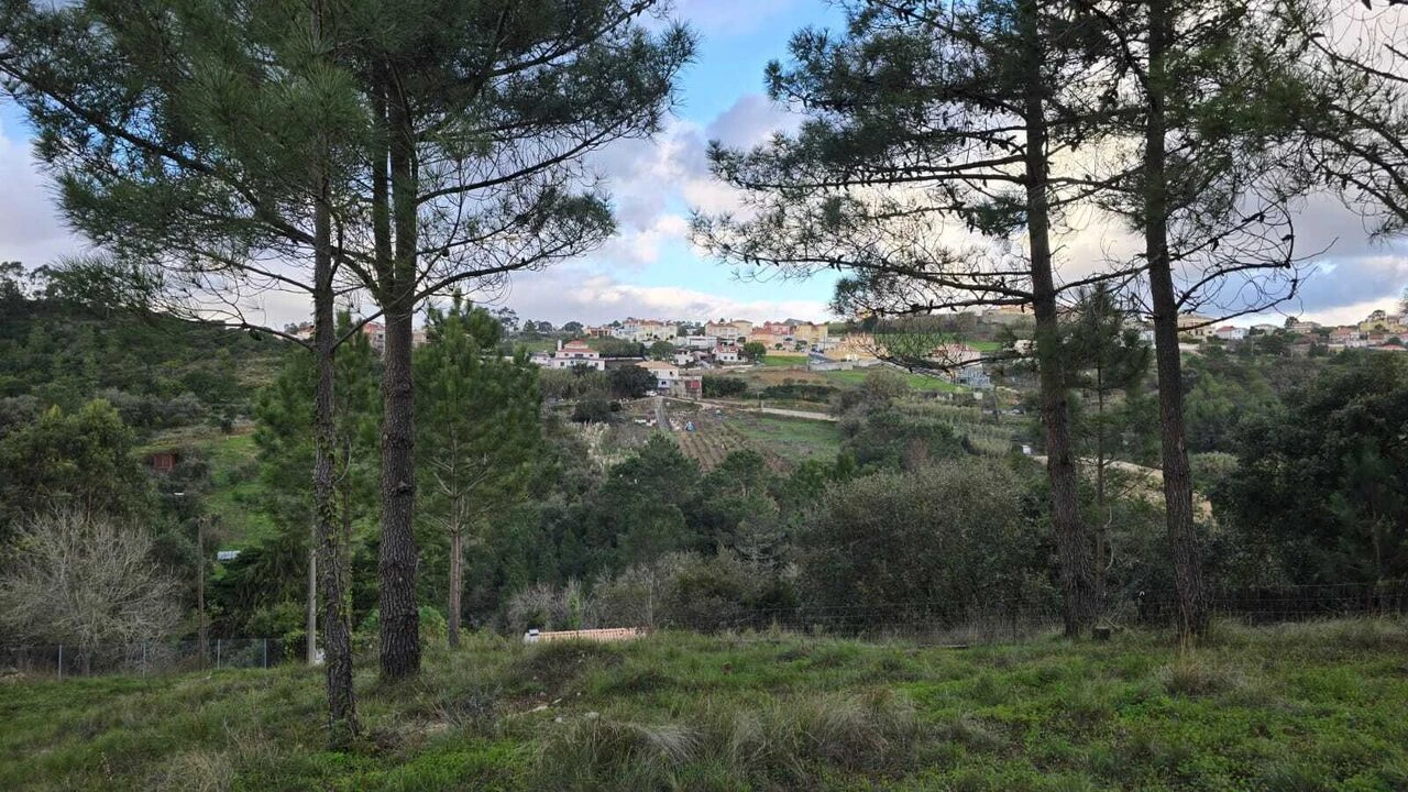 Terreno para Venda em Mafra Foto 6