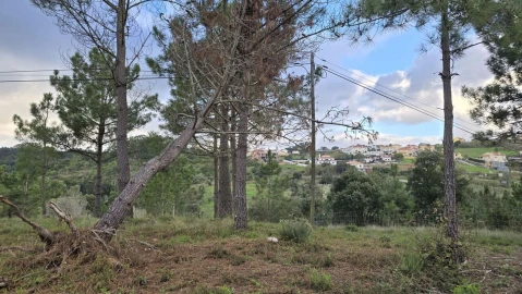 Terreno para Venda em Mafra