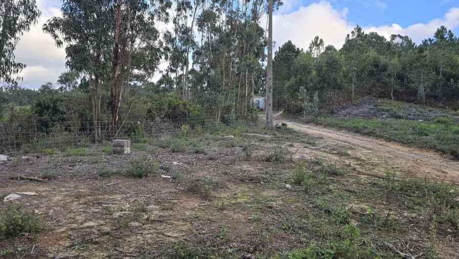 Terreno para Venda em Mafra Foto 2
