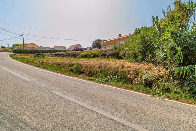 Terreno para Venda em São Pedro da Cadeira Foto 6
