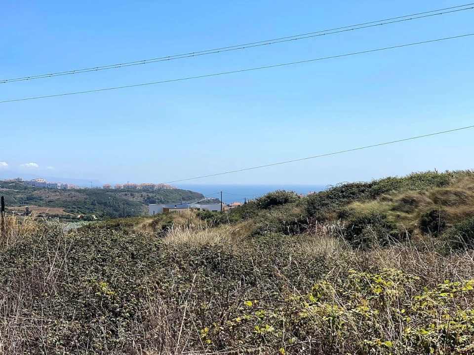 Terreno para Venda em Ericeira Foto 7