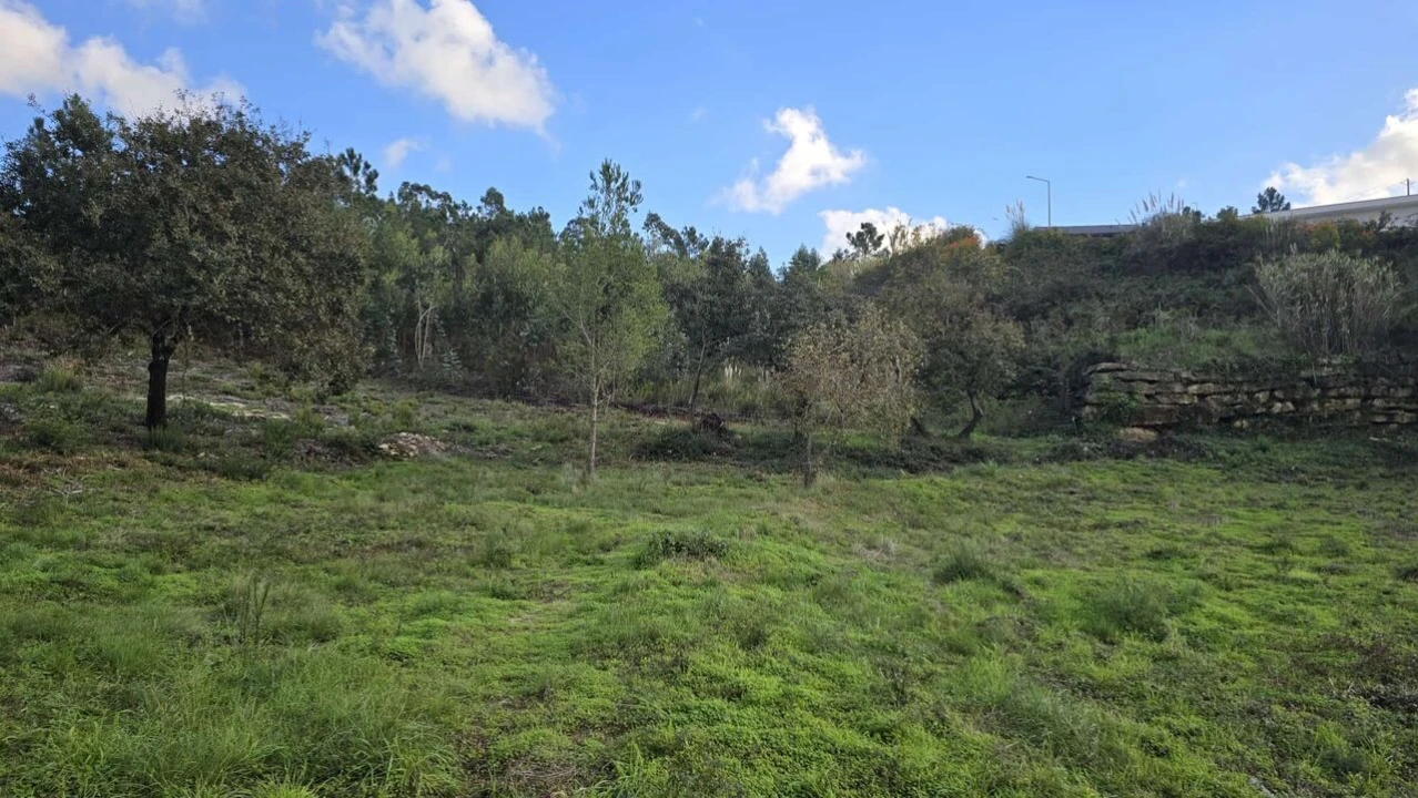 Terreno para Venda em Mafra Foto 6