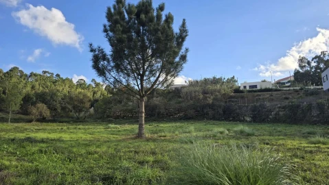 Terreno para Venda em Mafra