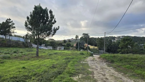 Terreno para Venda em Mafra