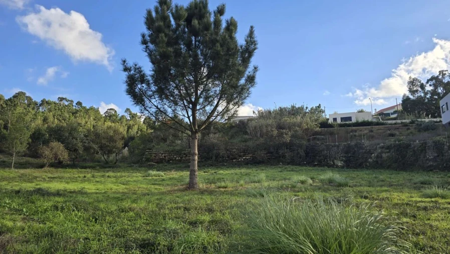 Terreno para Venda em Mafra Foto 4