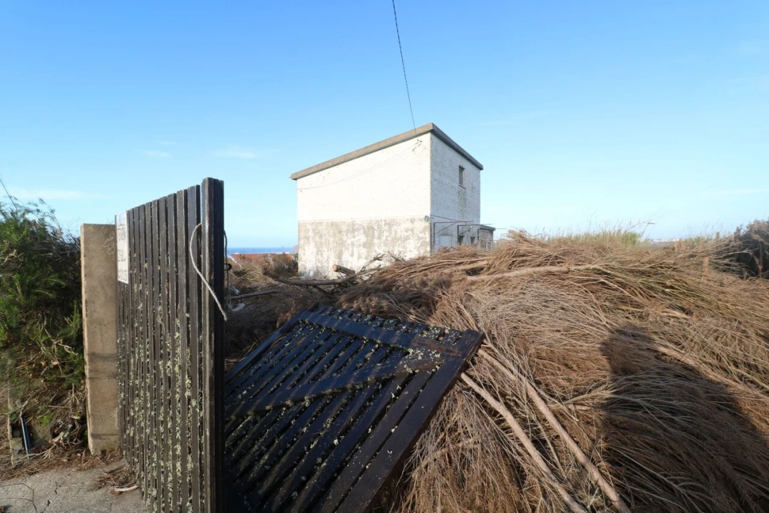 Terreno para Venda em São Pedro da Cadeira Foto 3
