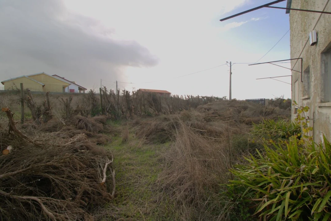 Terreno para Venda em São Pedro da Cadeira Foto 8