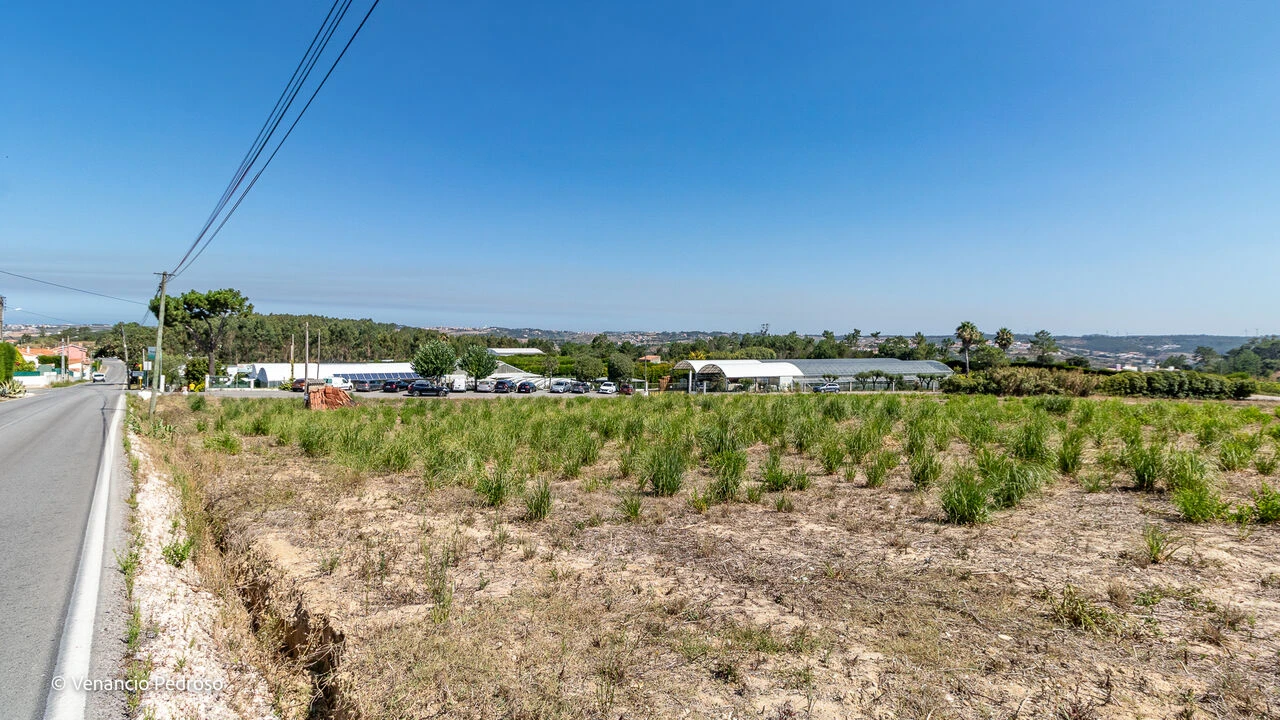 Terreno para Venda em Ericeira Foto 4