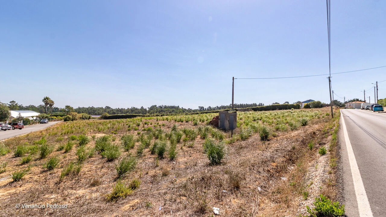 Terreno para Venda em Ericeira Foto 6