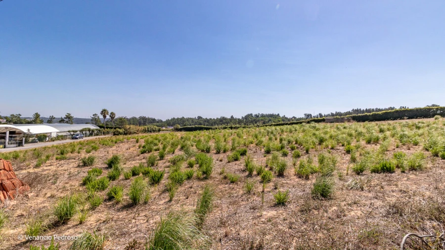 Terreno para Venda em Ericeira Foto 5