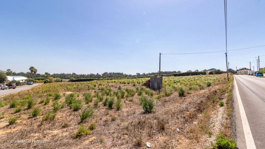 Terreno para Venda em Ericeira Foto 6
