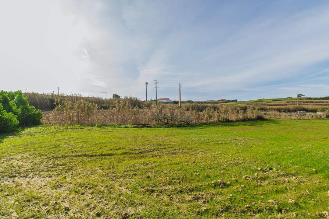 Terreno para Venda em Encarnação Foto 9