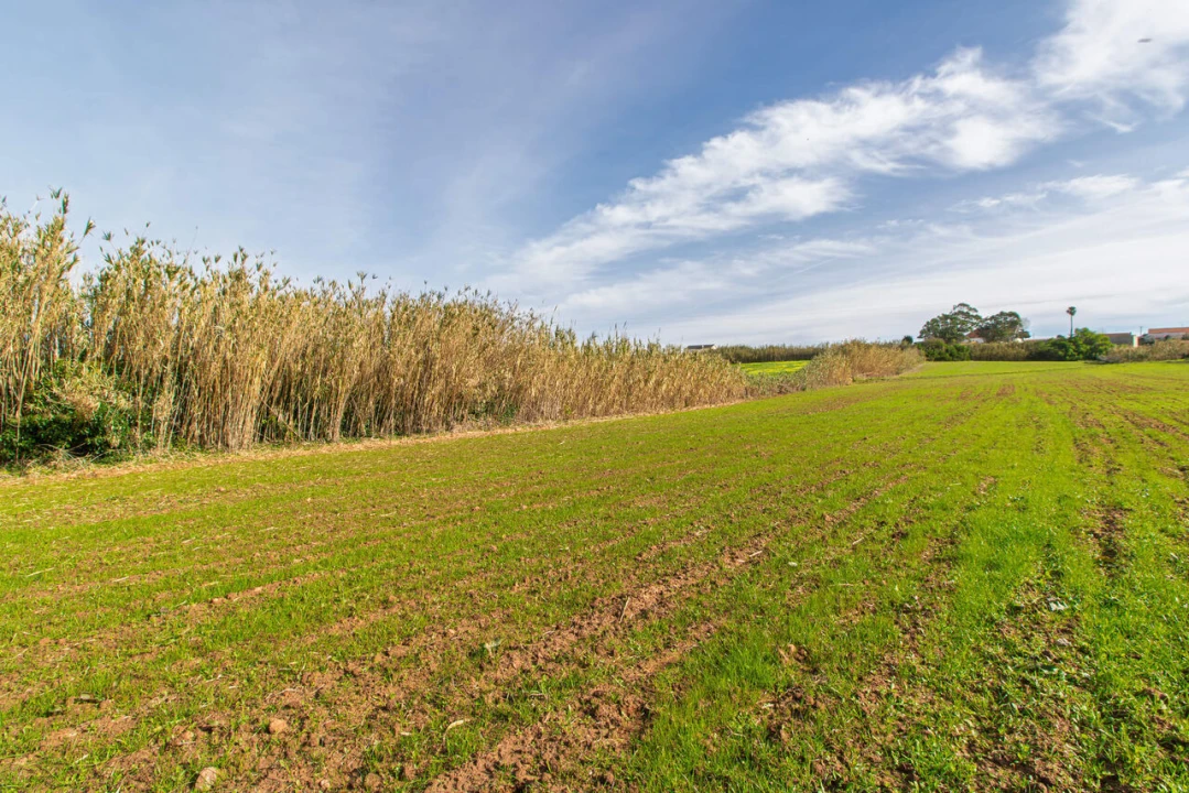 Terreno para Venda em Encarnação Foto 11