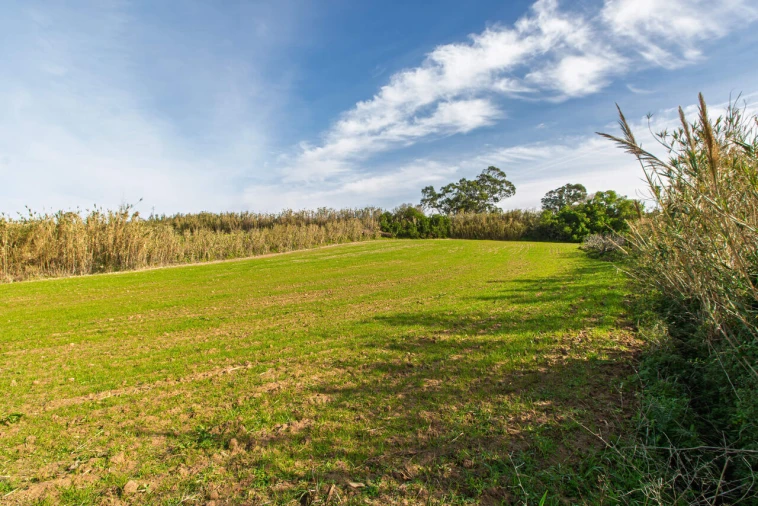 Terreno para Venda em Encarnação Foto 2