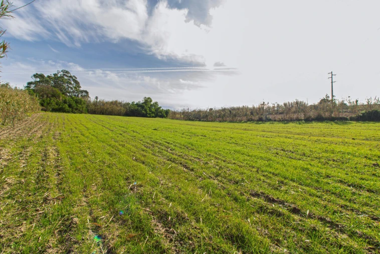 Terreno para Venda em Encarnação Foto 6